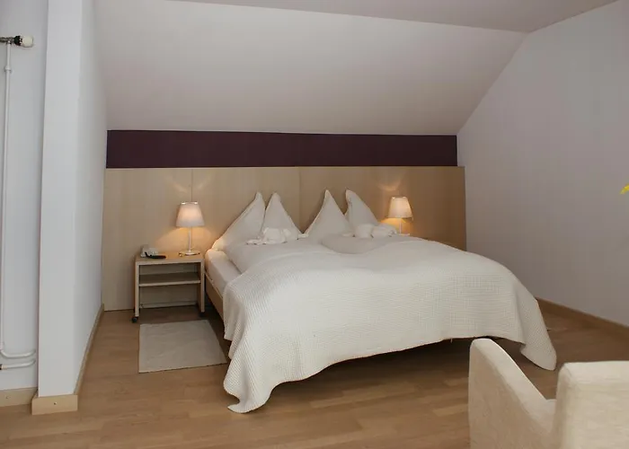 酒店 Jean-jacques Rousseau 拉纽维尔