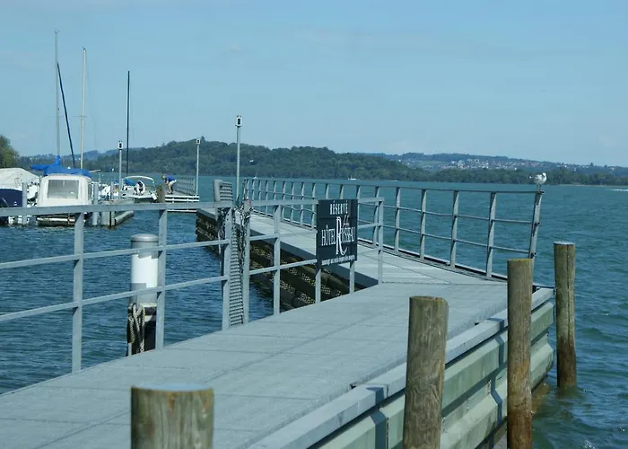 酒店 Jean-jacques Rousseau 3*