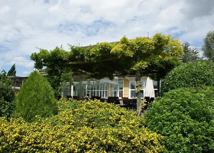 Jean-jacques Rousseau 拉纽维尔