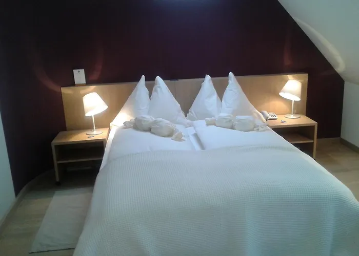 Jean-jacques Rousseau 酒店